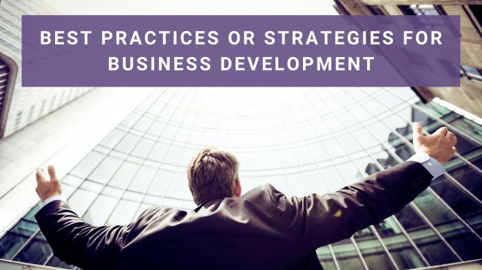 Development practices organizational vp