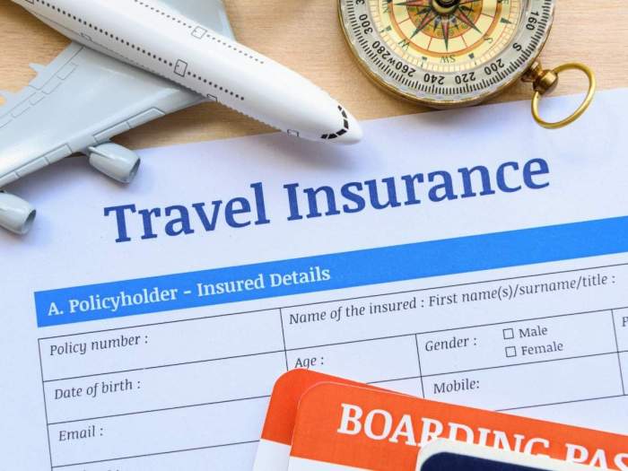 Travel insurance need do business trip